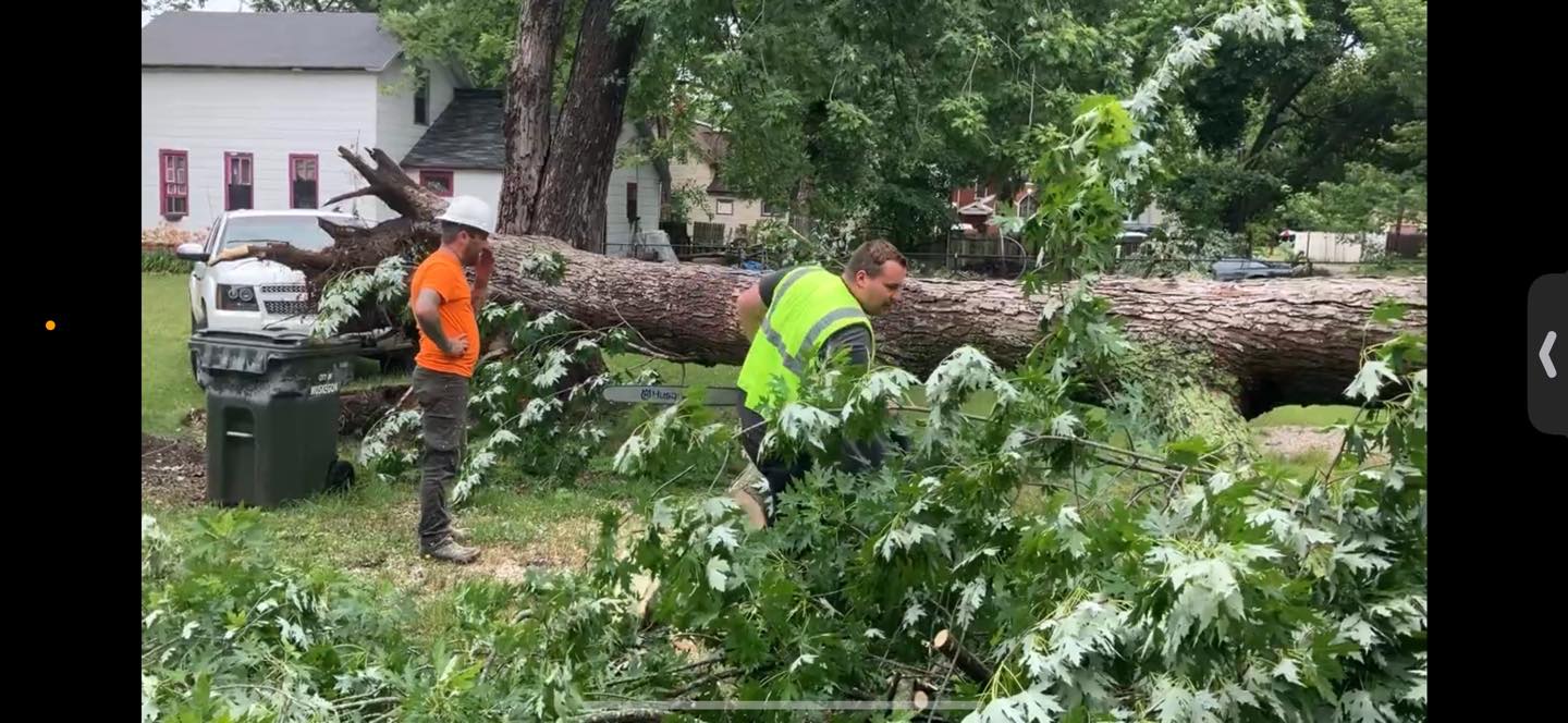 Storm damage cleanup in Greenville Michigan