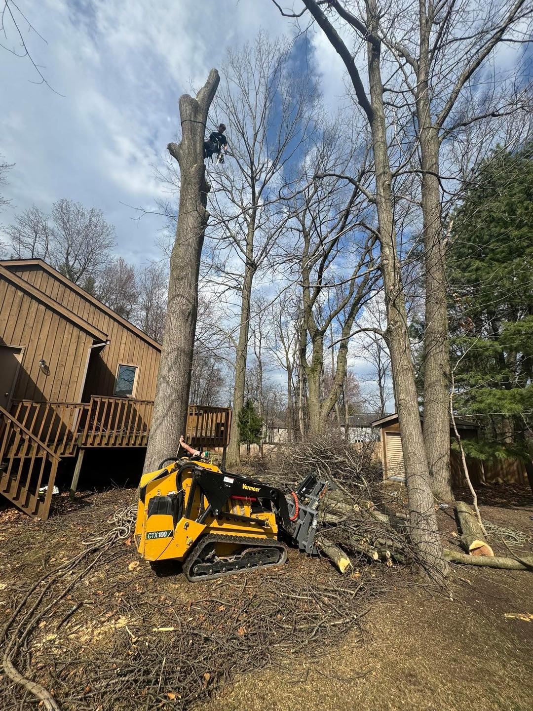 Tree trimming in Big Rapids Michigan